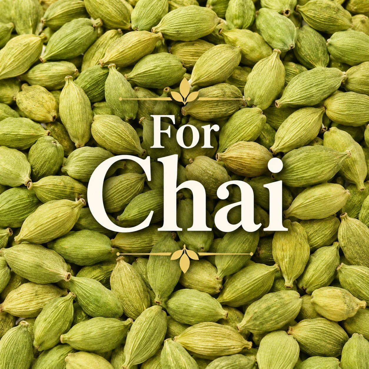 Chai Cardamom
